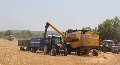 Kırklareli'nde Hasat Sezonu Başladı: Çiftçi Hem Umutlu Hem Tedirgin 