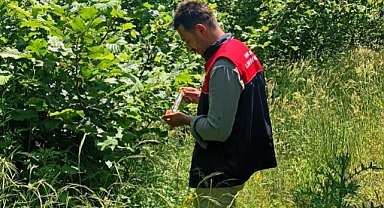 Kırklareli’nde Kahverengi Kokarca ile Biyolojik Mücadele Başladı