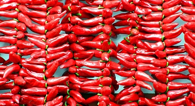 Kırmızı Biberin Sağlık Mucizesi: Bağışıklık Güçlendirici ve Yağ Yakıcı Etkileriyle Dikkat Çekiyor!