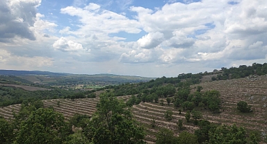 Kofçaz’da Erozyonla Mücadelede Örnek Proje