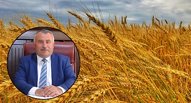 Lisanslı Depoculukta Yeni Dönem: TMO’ya Ürün Tesliminde Bunları Unutmayın!