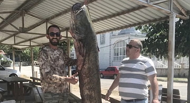 Meriç Nehri'nde 80 kilo ağırlığında yayın balığı yakaladı