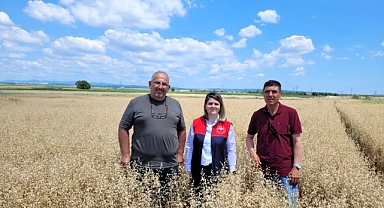 Müsellim Köyü'nde Yerli ve Milli Yulaf Çeşitleri Tanıtıldı