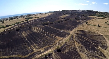 Saros’ta çıkan tarla ve orman yangınıyla ilgili savcılığa suç duyurusu