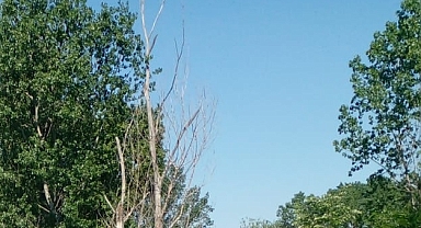 Sıcak ve Güneşli Bir Gün Babaeski’yi Bekliyor