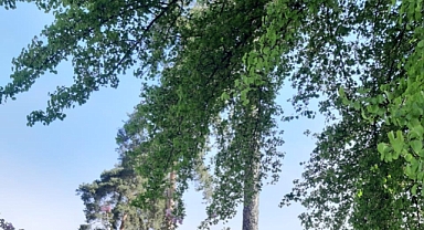 Sıcaklıklar 34 Dereceye Kadar Yükselecek