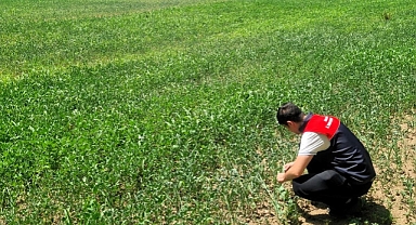 Tarım Arazilerine Yakın Takip: TAKEP Kapsamında Arazi Kontrolleri Yapıldı
