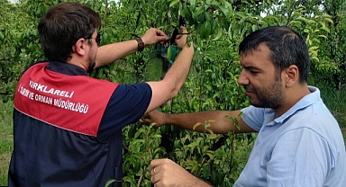 Tarımsal Zararlılara Karşı Önlem: Tuzaklarla Erken Tespit
