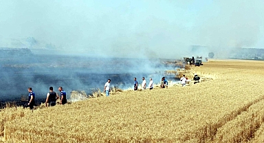 Tekirdağ'da yangında 400 dönüm buğday ekili tarla zarar gördü