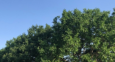 Termometreler 34 Dereceye Kadar Yükselecek