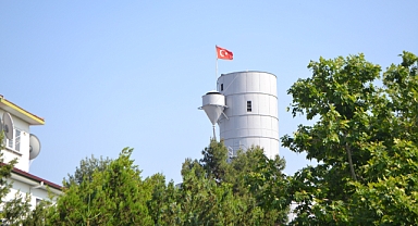 TMO 2025 Hububat Alımlarına Başladı: İşte Buğday ve Arpa Alım Şartları