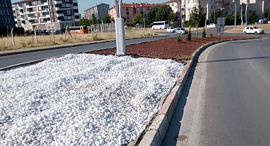 TOKİ Bölgesi'nde Kuraklığa Dayanıklı Peyzaj