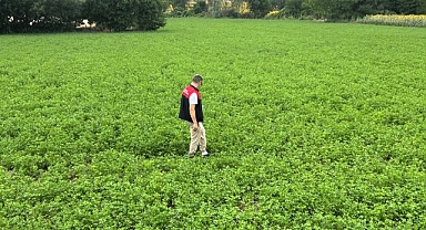 Yem Bitkisi Ekiliş Alanlarında Teknik Kontroller Sürüyor