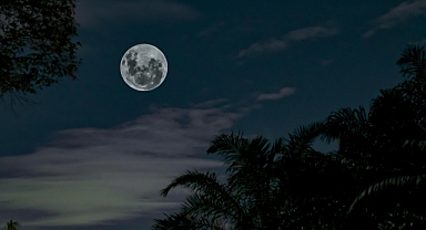 19 Temmuz 2025 Cumartesi Günlük Burç Yorumları: Bugünün Enerjisini Keşfedin!