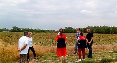 Ayçiçeği Tarlalarında Kuraklık İncelemesi