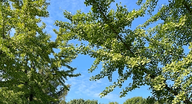 Babaeski'de Kavurucu Sıcaklar Geliyor: Termometreler 38 Dereceyi Gösterecek