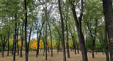 Babaeski’de Kavurucu Sıcaklar: Termometreler 36 Dereceyi Gösterecek