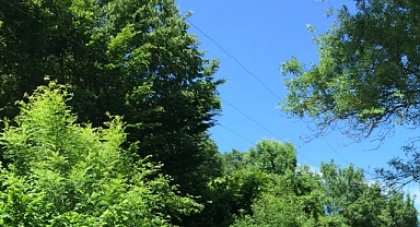 Babaeski’de Kavurucu Sıcaklar: Yarın Hava 35 Dereceyi Görecek