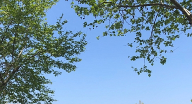 Babaeski'de Kavurucu Sıcaklıklar Devam Ediyor