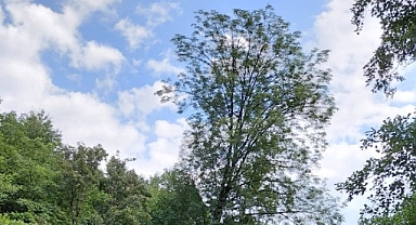 Babaeski'de Sıcaklık 42 Dereceye Ulaşacak