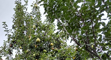 Babaeski’de Yarın Gökgürültülü Sağanak Yağış Bekleniyor