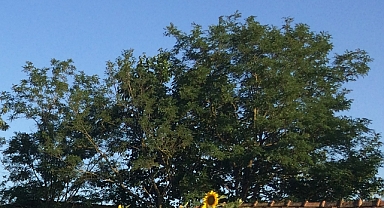 Babaeski'de Yarın Hava Nasıl Olacak? İşte 12 Temmuz 2025 Hava Durumu Detayları