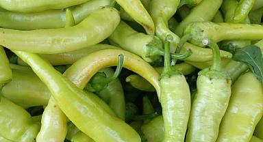 Biber Sadece Lezzet Değil, Aynı Zamanda Şifa Kaynağı