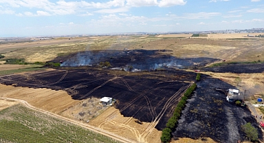 Buğday tarlasına sıçrayan yangında 10 dönüm alan zarar gördü