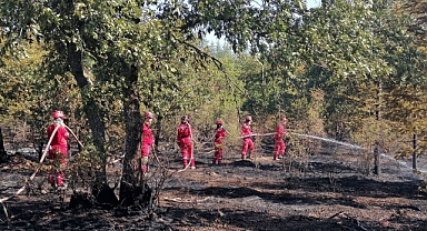 Bulgaristan’da çıkıp Türkiye sınırına ulaşan orman yangını, kontrol altına alındı
