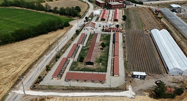 Can Dostlara Konforlu Yaşam Alanları