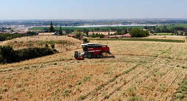 Edirne Belediyesi’nden Nohut Hasadı: Geliri Kız Öğrencilere Burs Olacak