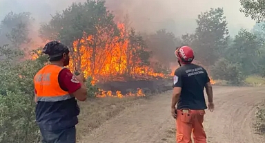 Eskişehir'deki Orman Yangınında 10 Kişi Şehit Oldu: Soruşturma Başlatıldı 
