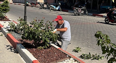 Kavaklı'da Temizlik ve Çevre Düzenleme Çalışmaları Sürüyor 