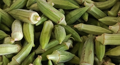 Kaynarca Bamyası Pazarda 200 TL'den Satışta 