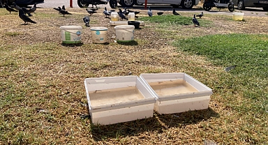 Kırklareli Belediyesi'nden Sokak Hayvanlarına Su Desteği 