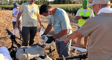 Kırklareli’de Batı Mısır Kök Kurdu'na Karşı Drone Destekli Mücadele Başladı