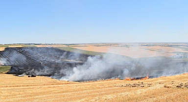 Kırklareli'de iki ayrı yangında ağaçlık alan ve tarım arazisi zarar gördü