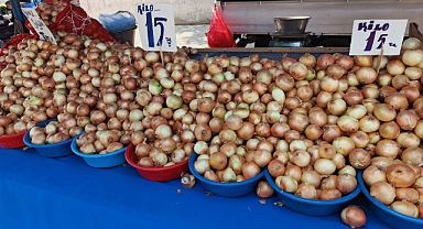 Kuru Soğanın Faydaları Saymakla Bitmiyor: Doğal Şifa Deposu 