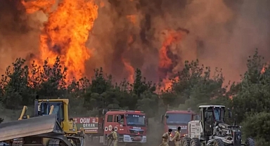 Milletvekili Özkan: 