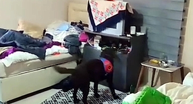 Piyasa değeri 100 milyon lira olan uyuşturucu ele geçirildi; 2 tutuklama