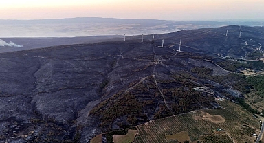 Tekirdağ'daki orman yangını kontrol altına alındı