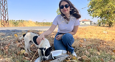 TREDAŞ’tan Sokak Hayvanları İçin Örnek Proje