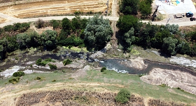 Tunca Nehri'nin kuruma noktasına geldiği Edirne’de çeltik üreticisi endişeli