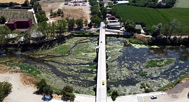 Tunca Nehri’nin kuruma noktasına geldiği Edirne’de, çeltik üreticisi tedirgin
