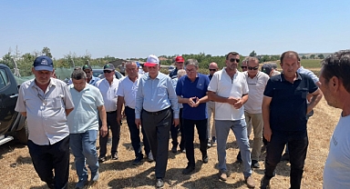 TZOB Başkanı Şemsi Bayraktar, Kuraklıktan Etkilenen Ayçiçeği Tarlasını İnceledi