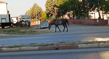 Vatandaşlar Tedirgin, Önlemler Yetersiz Kaldı