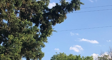 Yarın Termometreler 36 Dereceyi Gösterecek