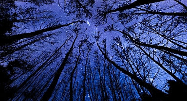 11 Ağustos 2025 Pazartesi Günlük Burç Yorumları: İdeal Bir Gün