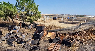 Anız yangınında 150 arı kovanı zarar gördü