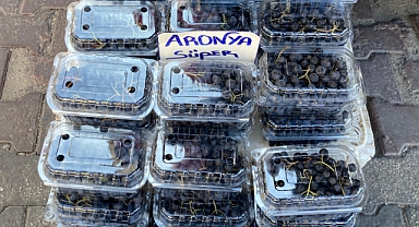 Aronya Meyvesi: Sağlığa Faydalarıyla Öne Çıkıyor 